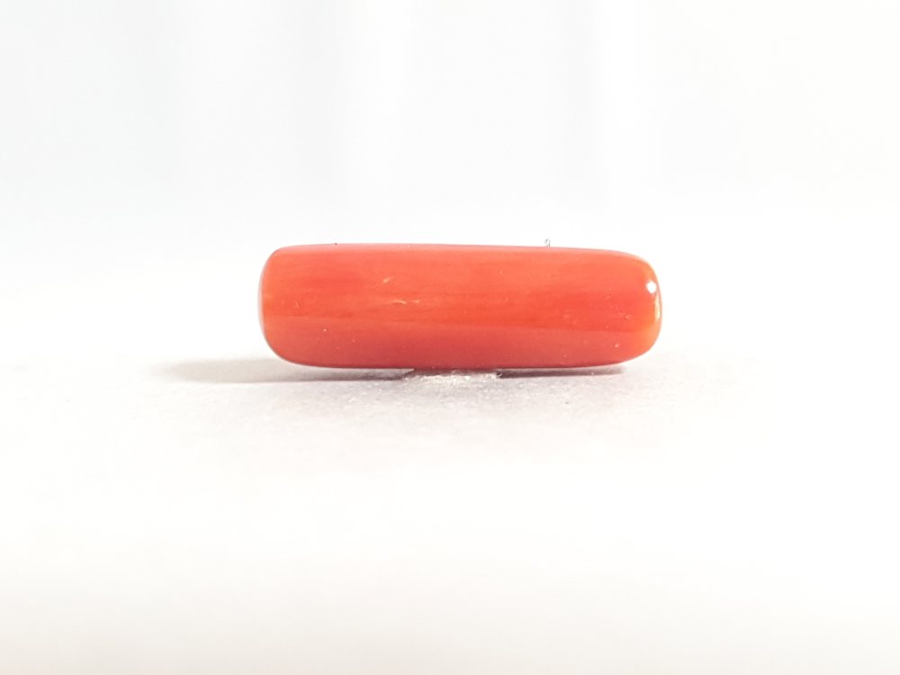 NATURAL CORAL - 6.71CT