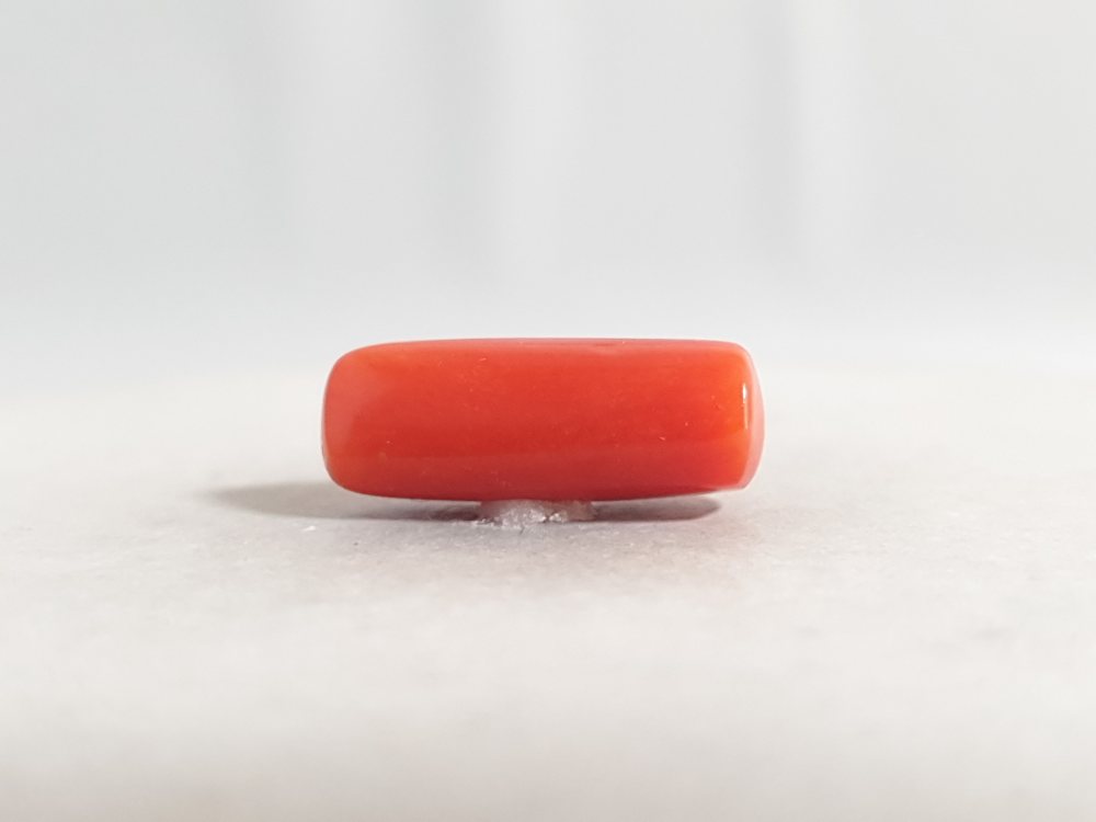 NATURAL CORAL - 6.87CT