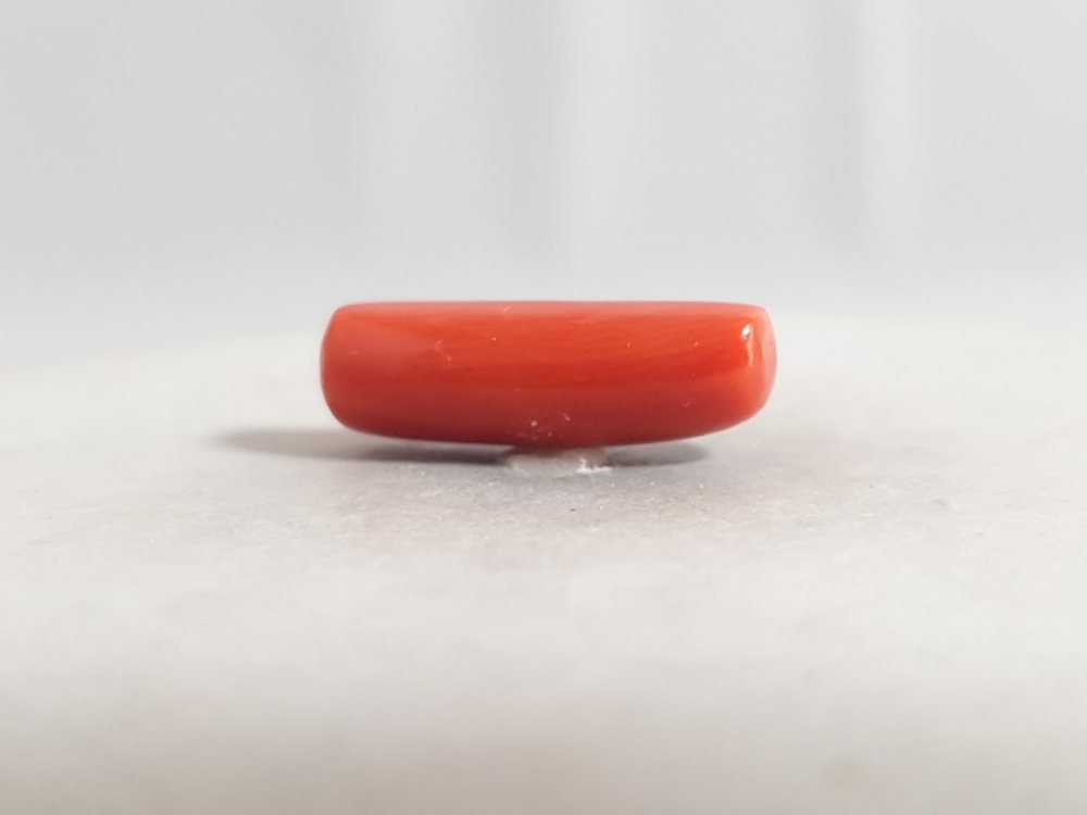 NATURAL CORAL - 6.96CT
