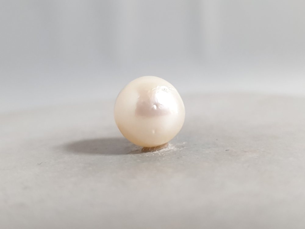 NATURAL SOUTH SEA PEARL  - 5.5CT