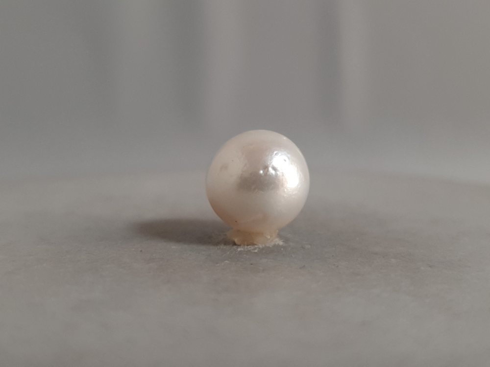 NATURAL SOUTH SEA PEARL  - 6.46CT