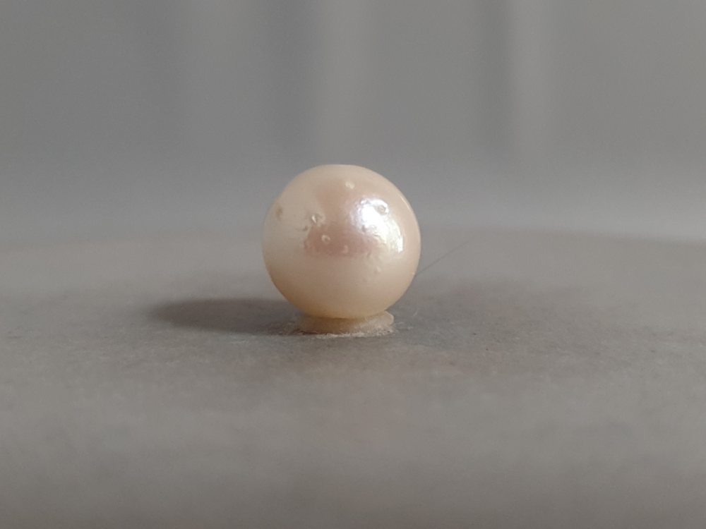 NATURAL SOUTH SEA PEARL  - 6.54CT