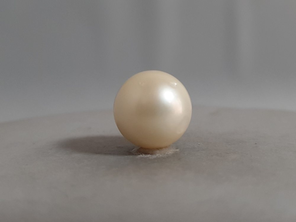 NATURAL SOUTH SEA PEARL  - 15.44CT