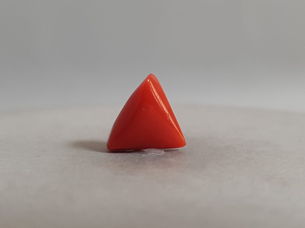 NATURAL CORAL - 3.52CT