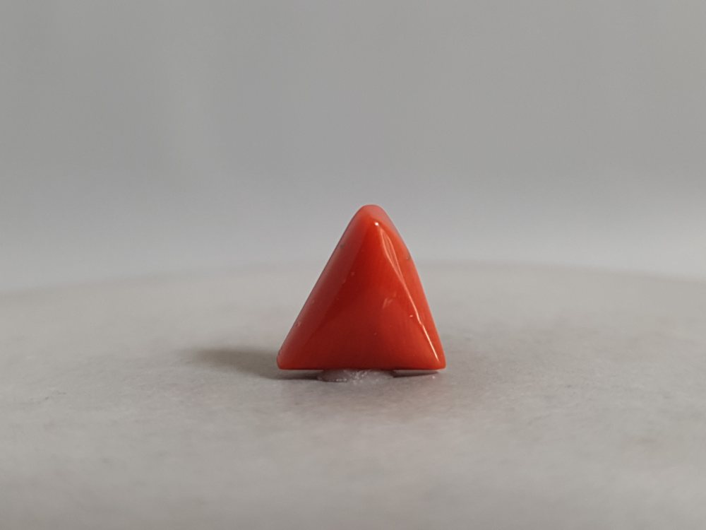 NATURAL CORAL - 3.77CT