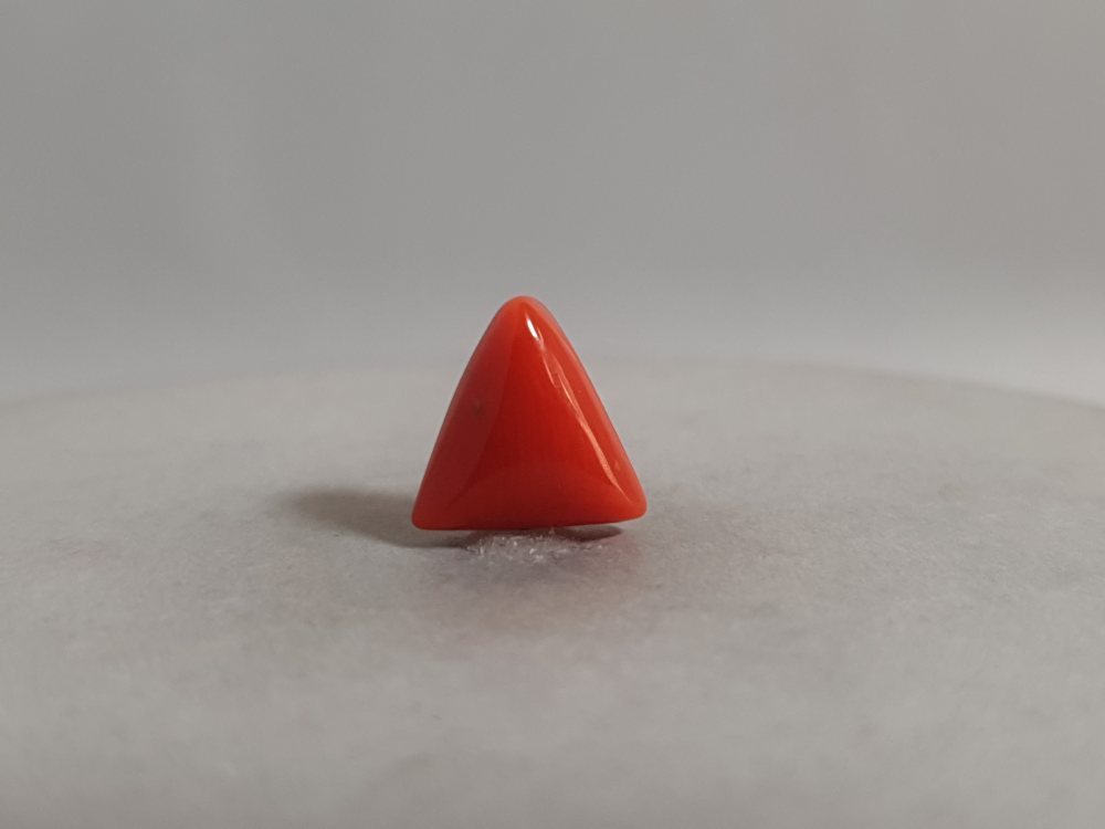 NATURAL CORAL - 3.88CT