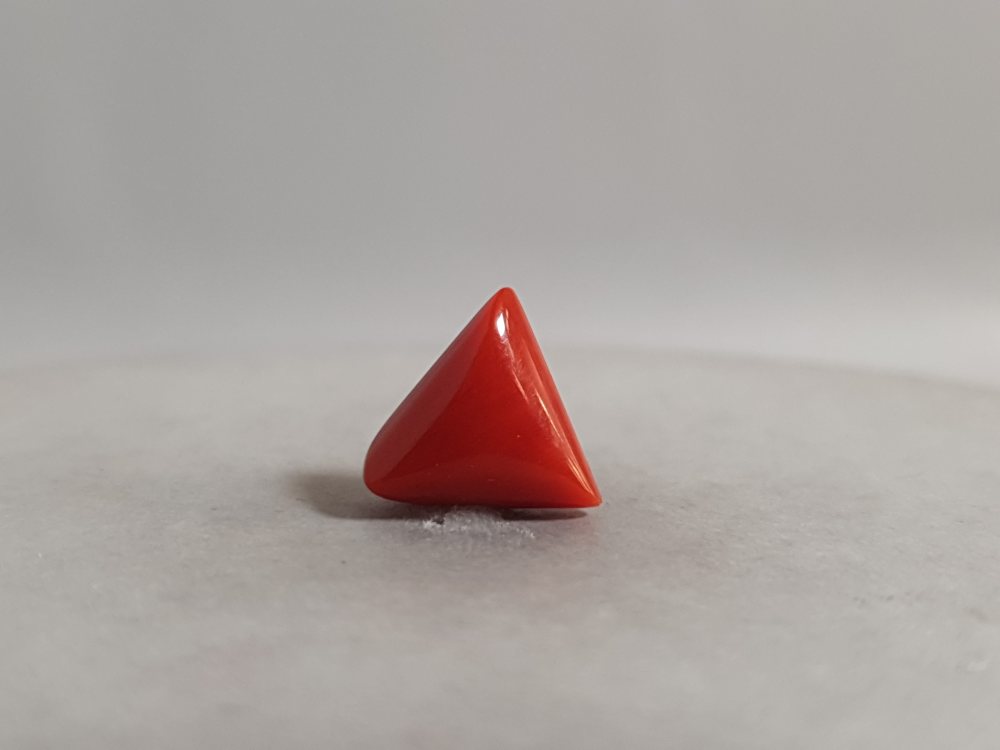 NATURAL CORAL - 3.91CT