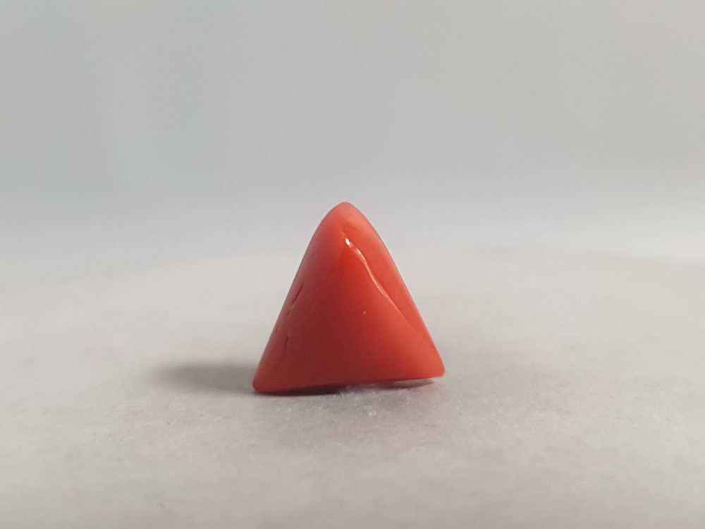 NATURAL CORAL - 4.06CT