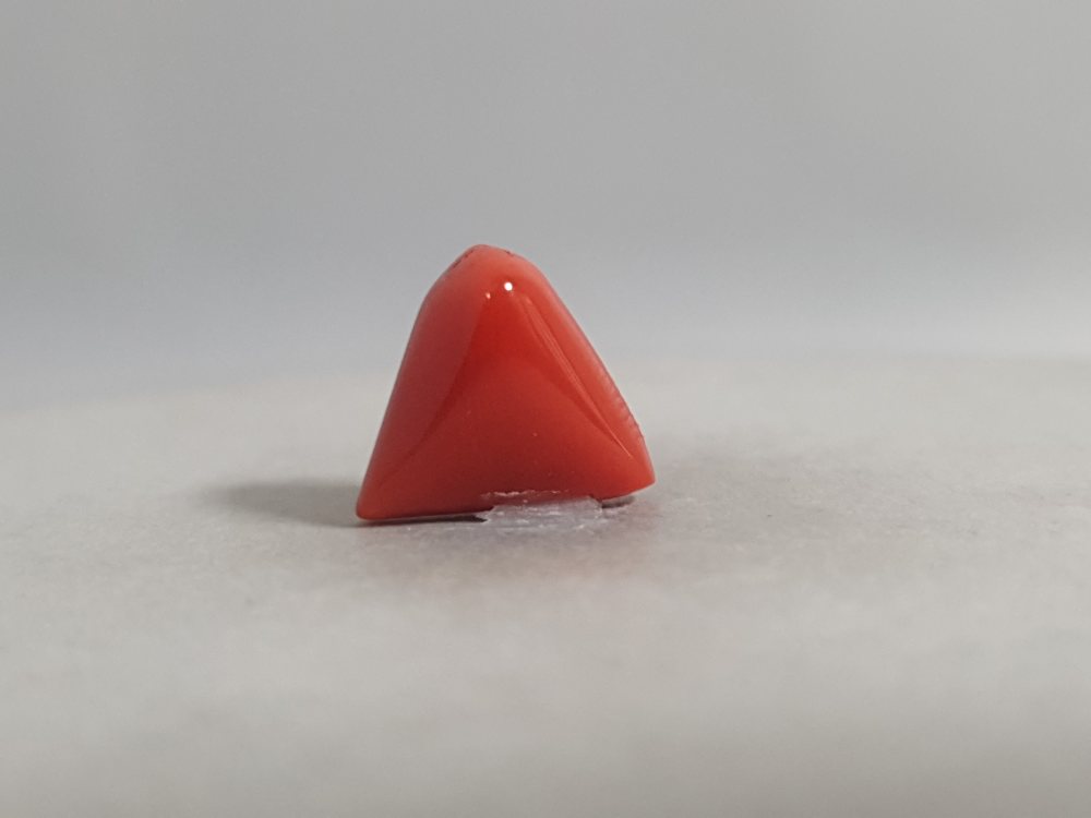 NATURAL CORAL - 4.71CT