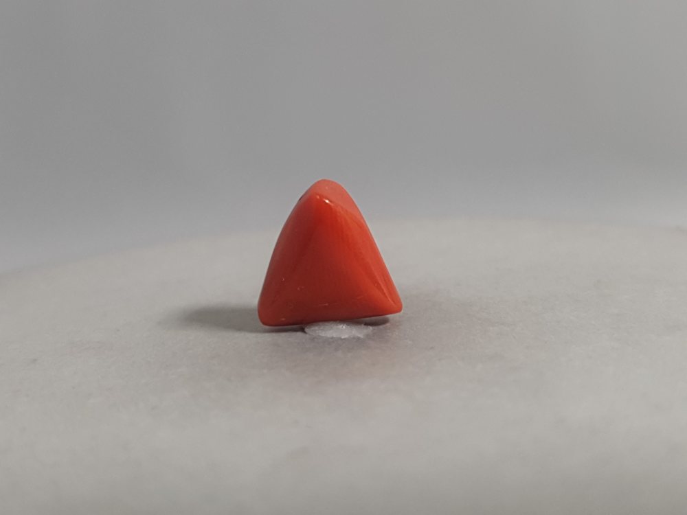 NATURAL CORAL - 4.96CT