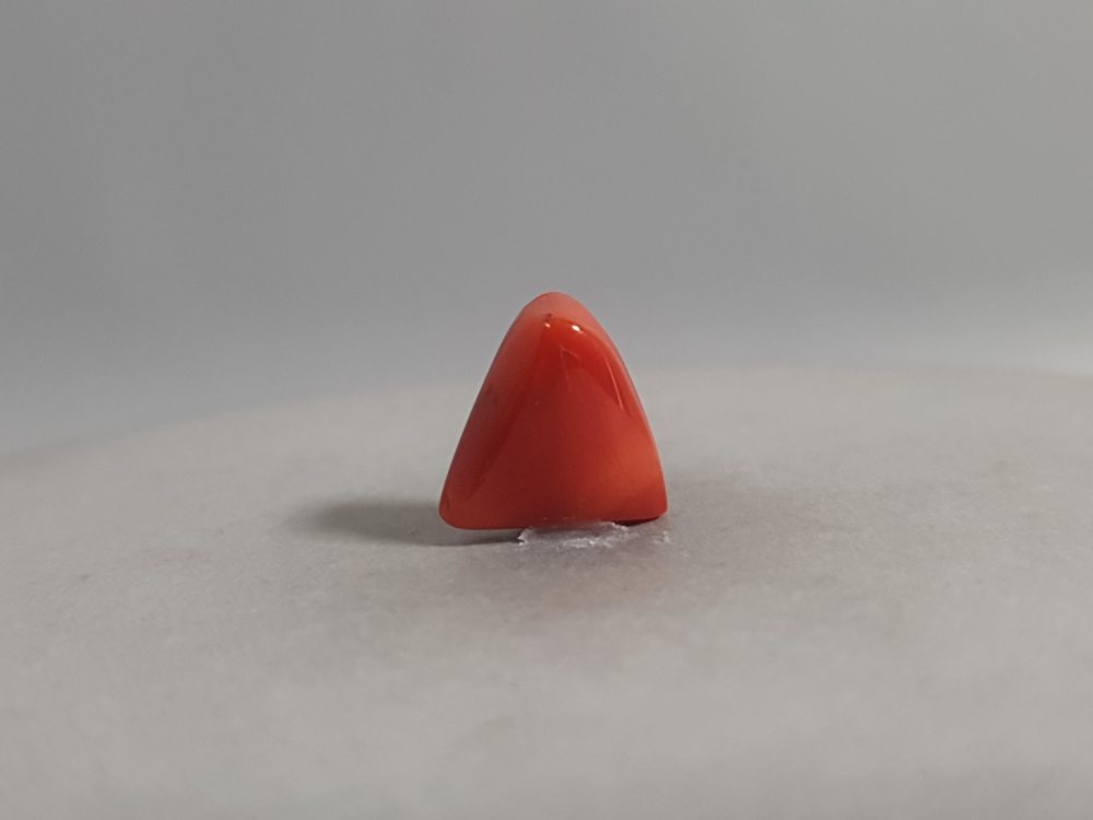 NATURAL CORAL - 4.96CT