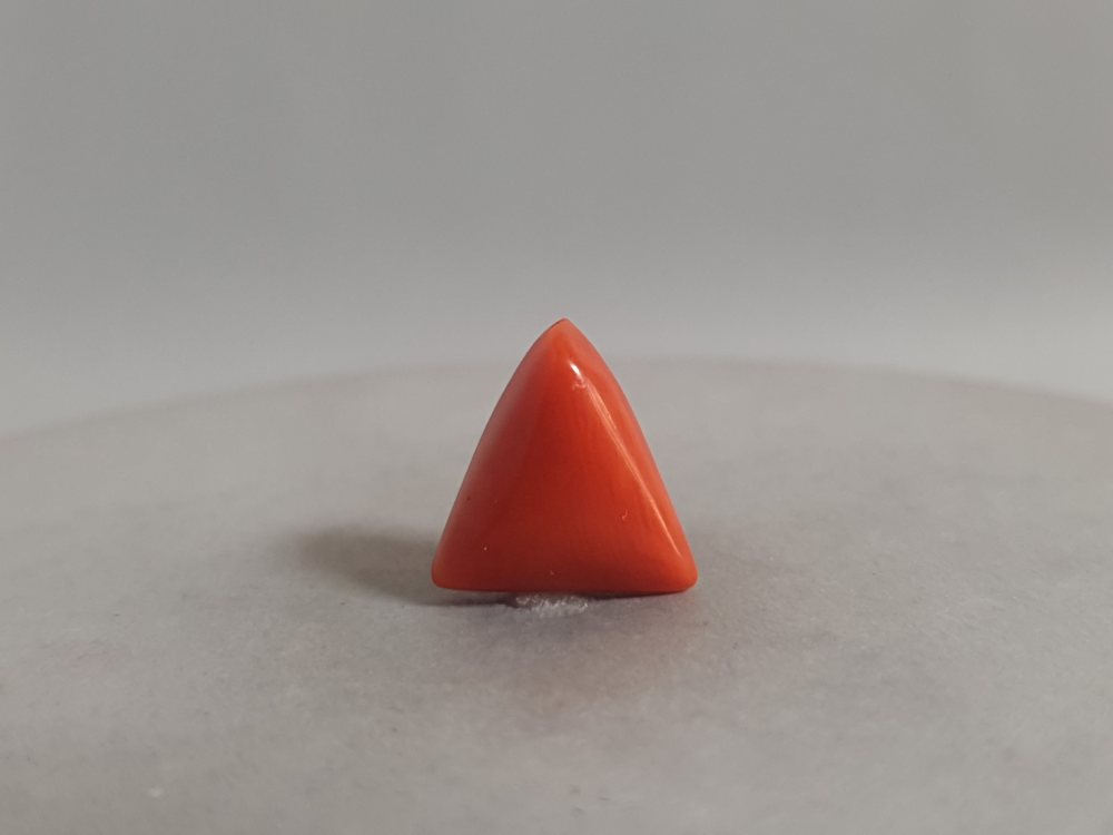 NATURAL CORAL - 5.03CT