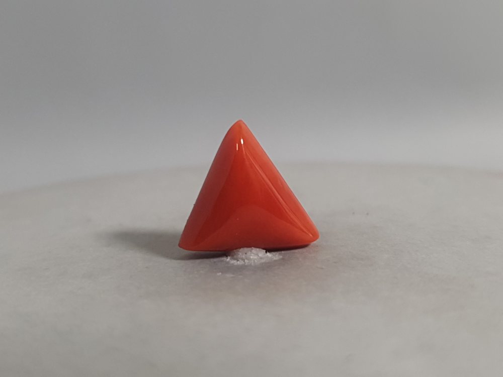 NATURAL CORAL - 5.41CT