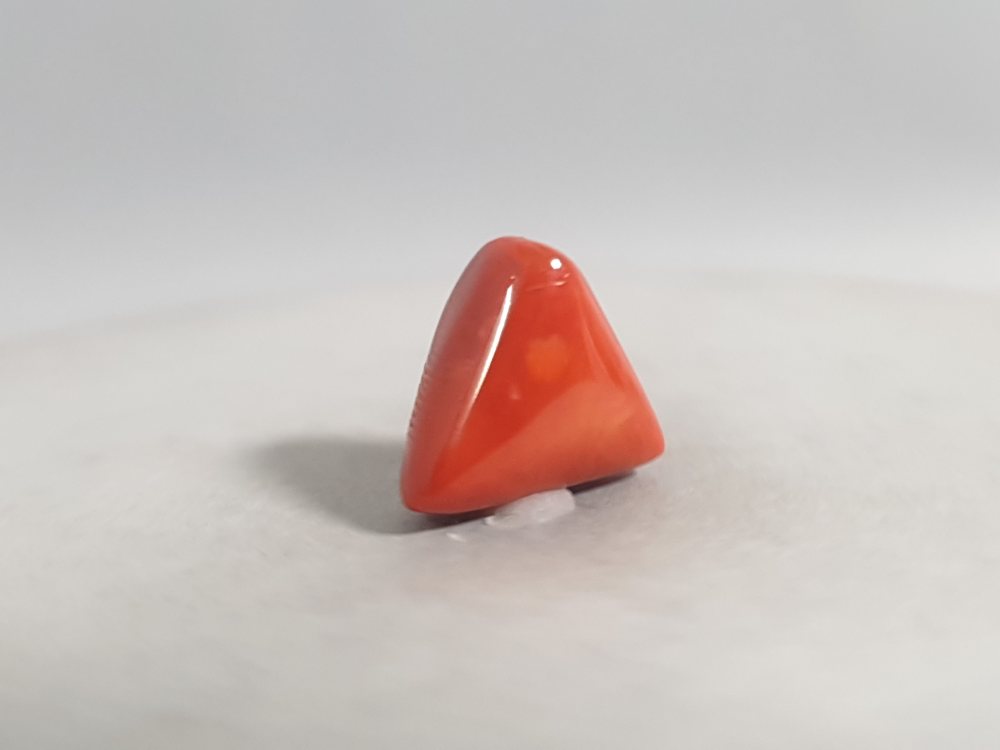 NATURAL CORAL - 7.05CT