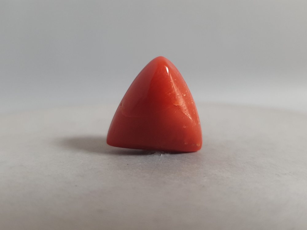 NATURAL CORAL - 13.91CT