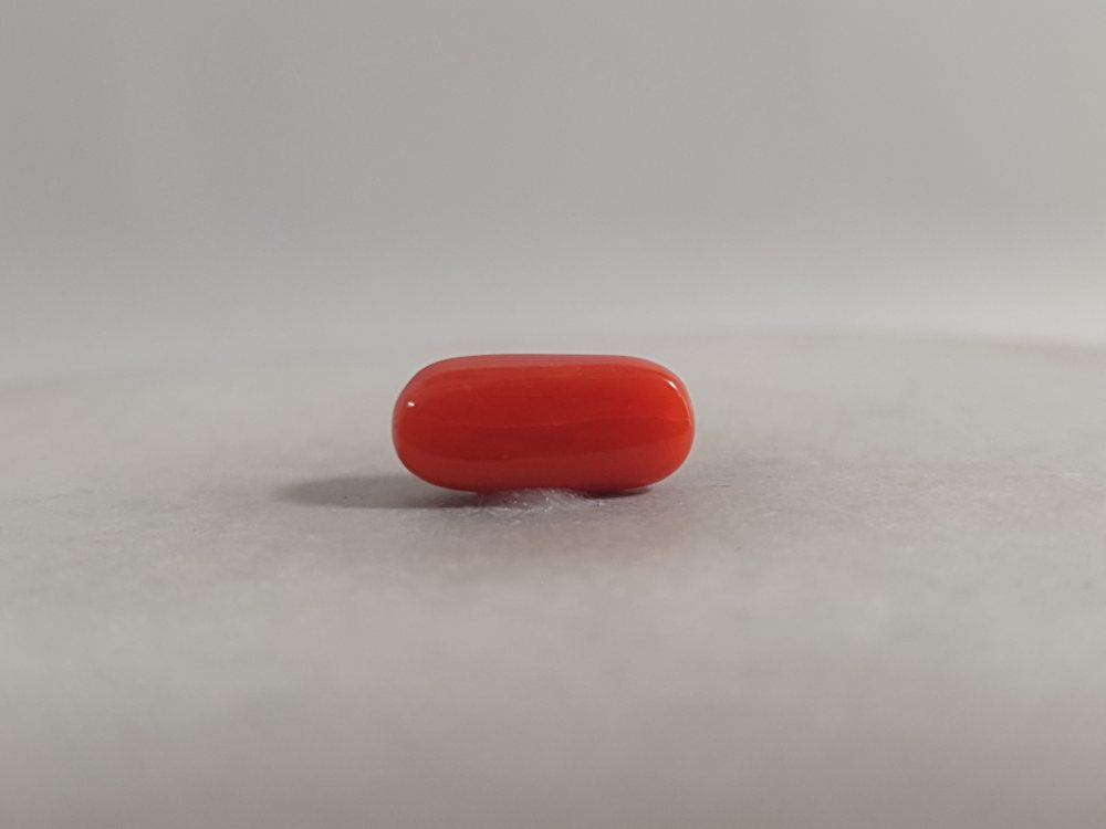 NATURAL CORAL - 3.03CT