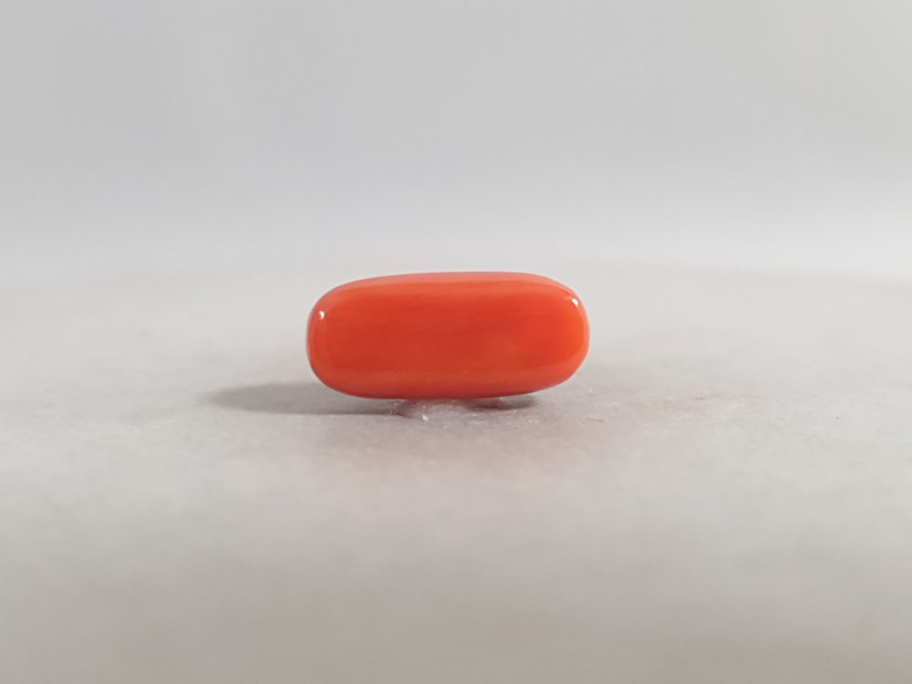 NATURAL CORAL - 3.17CT