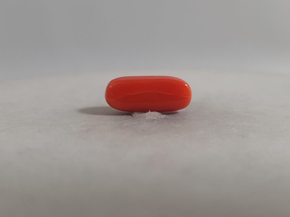 NATURAL CORAL - 3.26CT