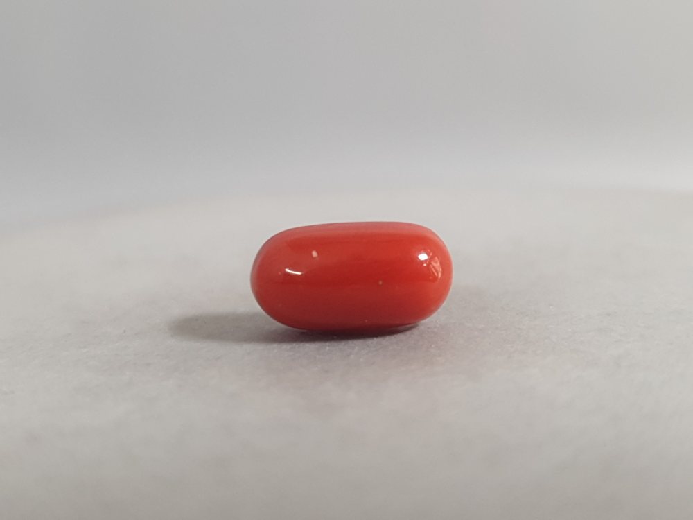 NATURAL CORAL - 3.27CT