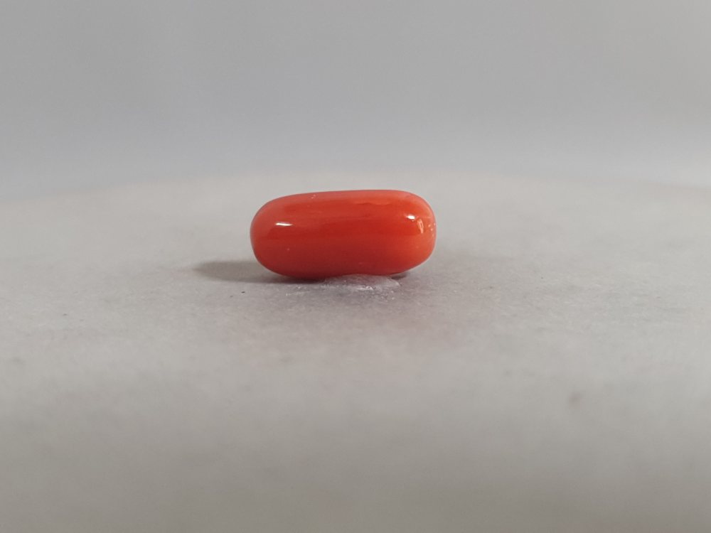 NATURAL CORAL - 3.31CT