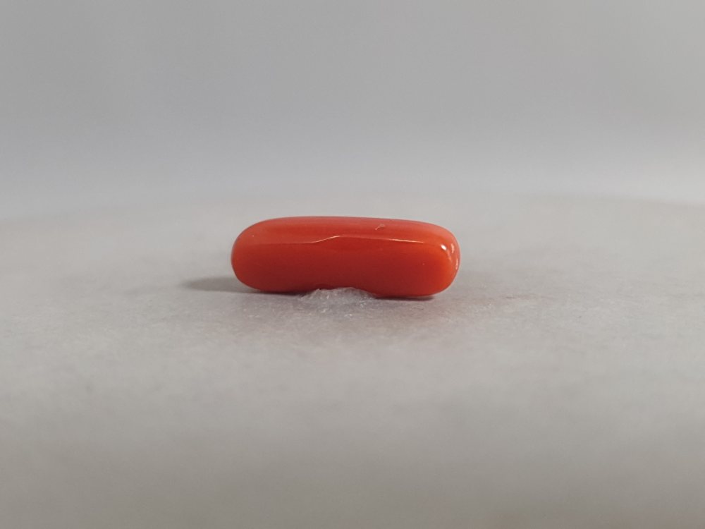 NATURAL CORAL - 3.31CT