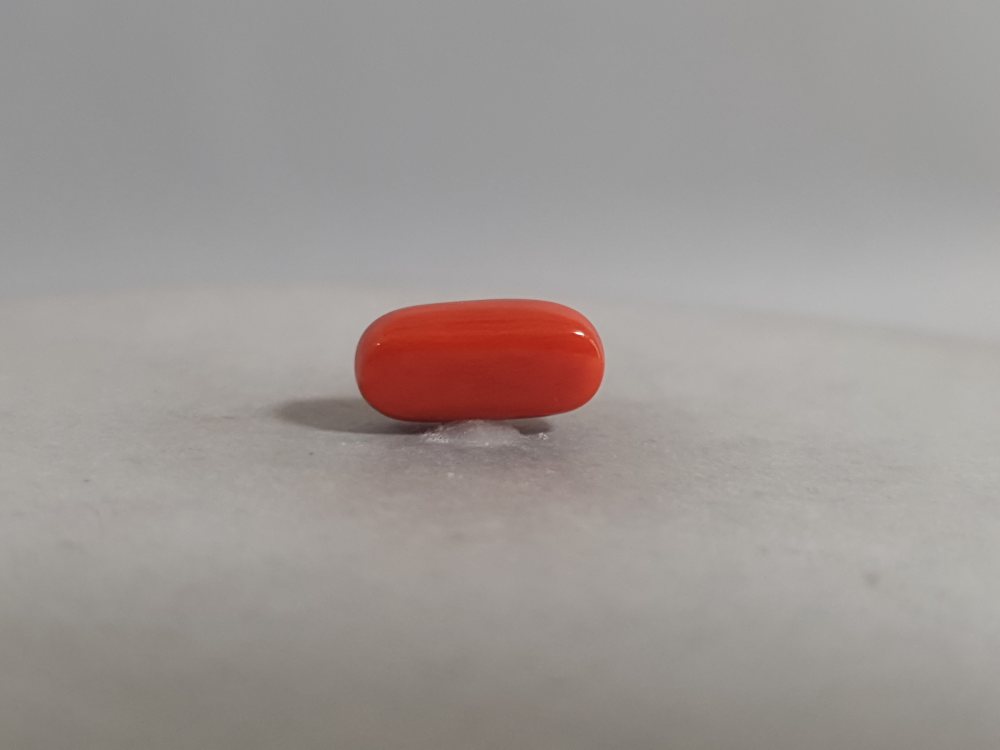 NATURAL CORAL - 3.34CT