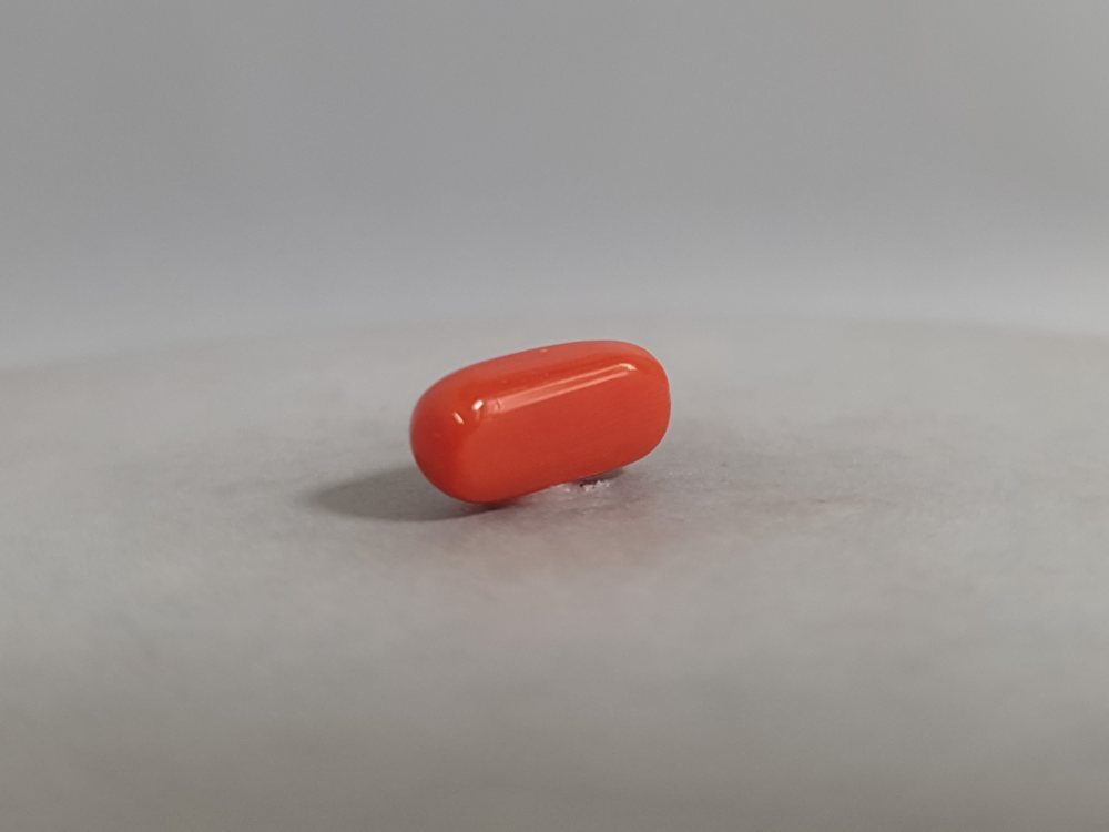 NATURAL CORAL - 3.39CT