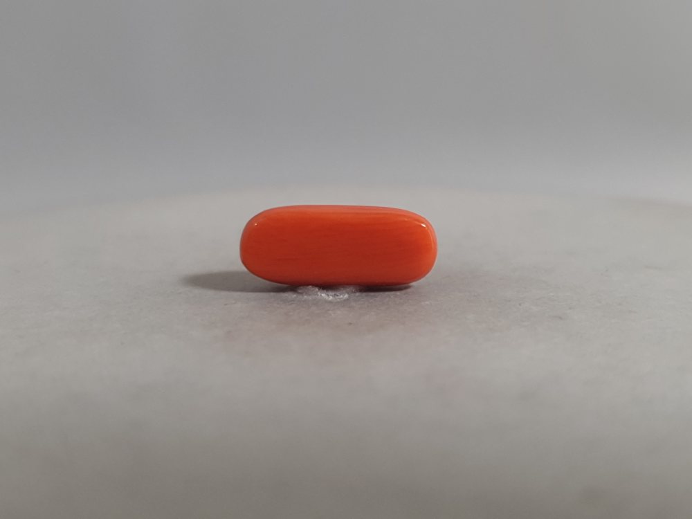 NATURAL CORAL - 3.41CT
