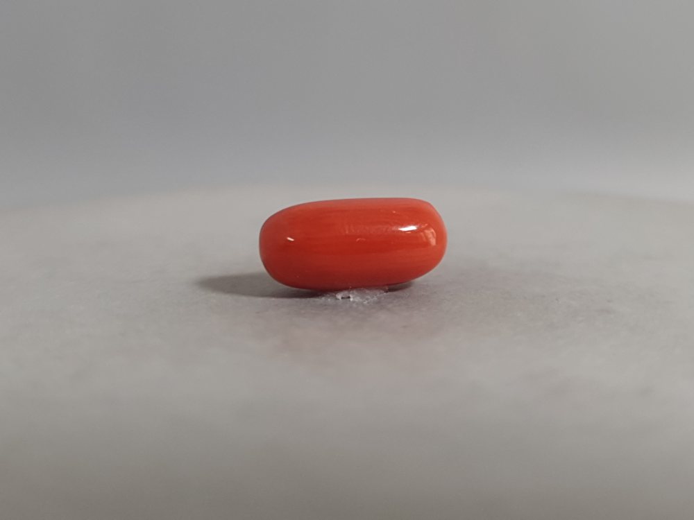 NATURAL CORAL - 3.41CT