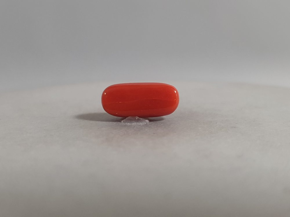 NATURAL CORAL - 3.42CT