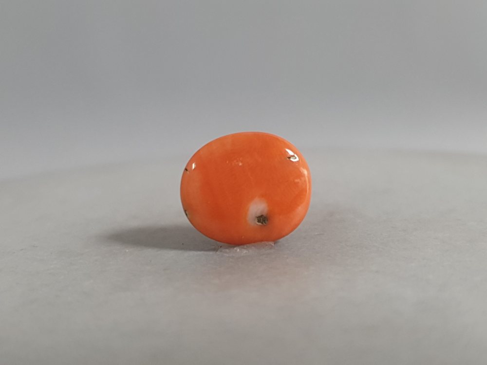 NATURAL CORAL - 3.53CT