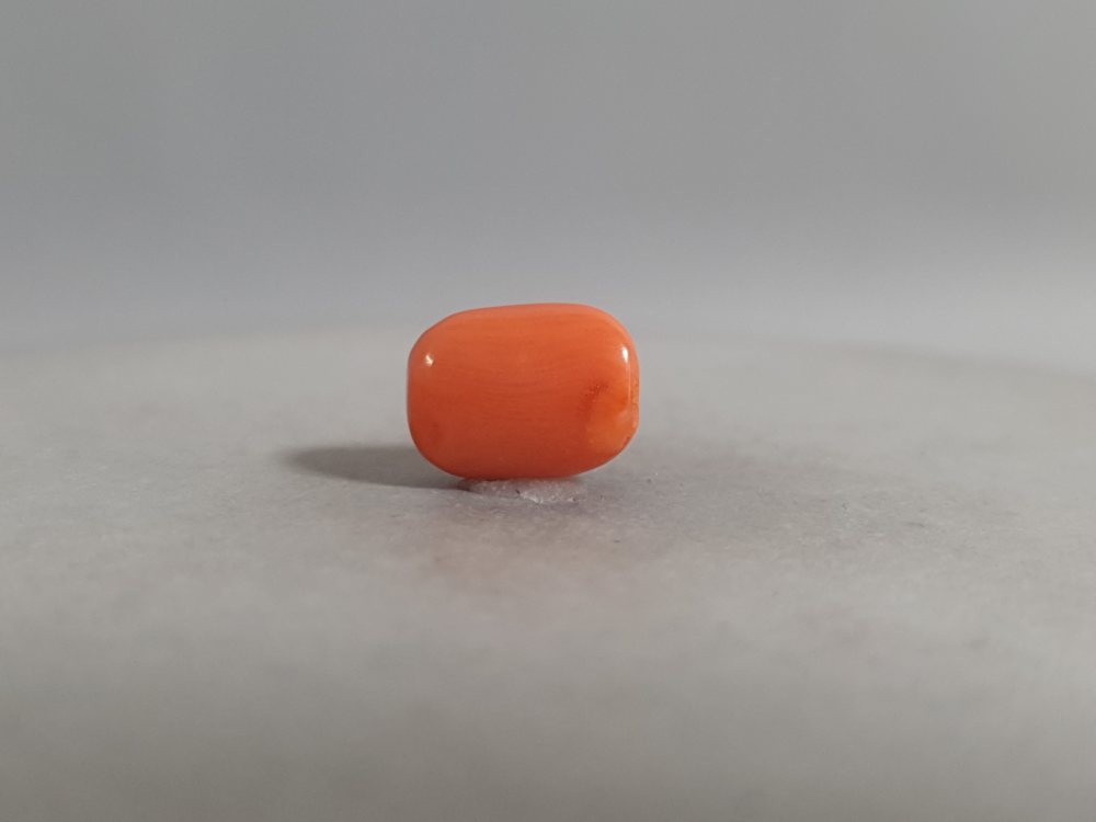 NATURAL CORAL - 3.57CT