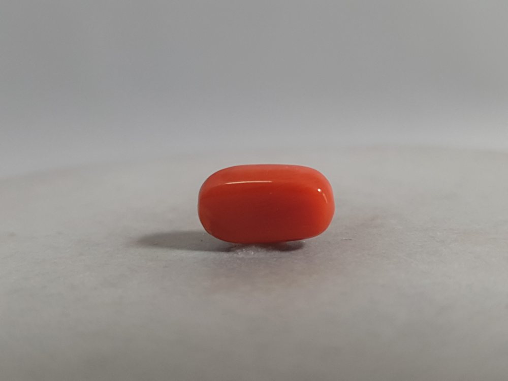 NATURAL CORAL - 3.61CT