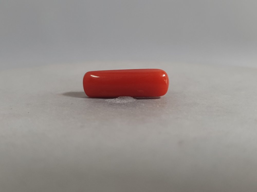 NATURAL CORAL - 3.68CT