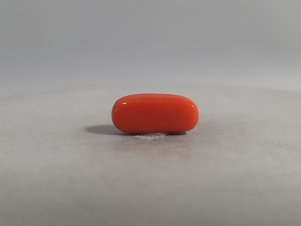 NATURAL CORAL - 3.72CT