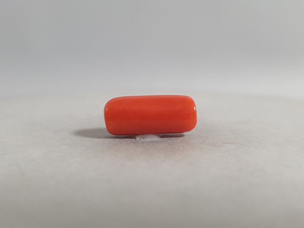 NATURAL CORAL - 3.73CT