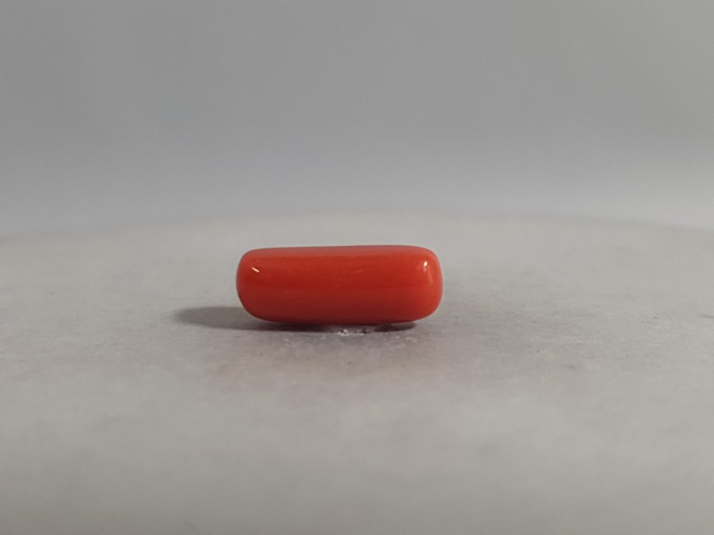 NATURAL CORAL - 3.74CT