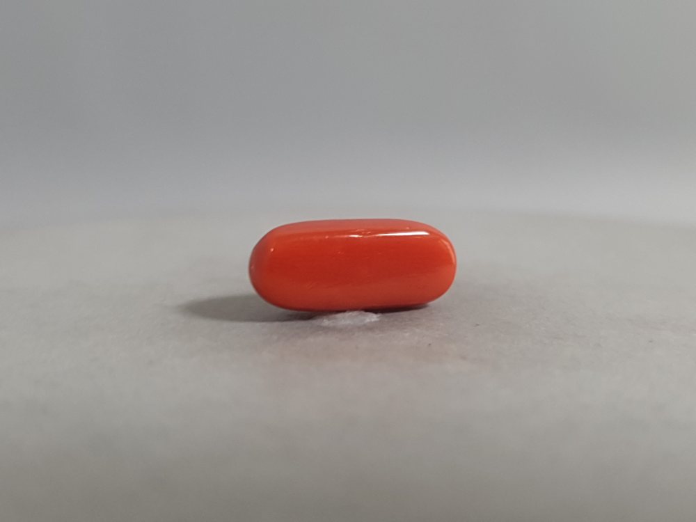 NATURAL CORAL - 3.76CT