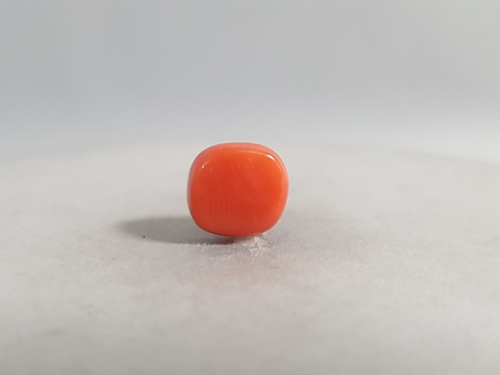 NATURAL CORAL - 3.81CT