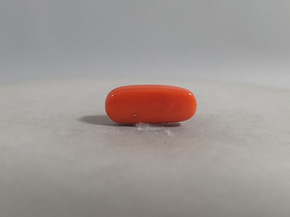NATURAL CORAL - 3.83CT