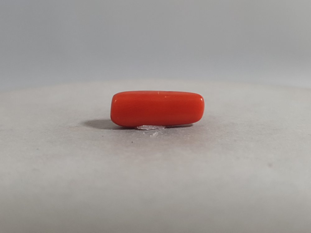 NATURAL CORAL - 3.89CT