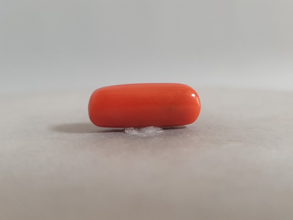 NATURAL CORAL - 4.16CT