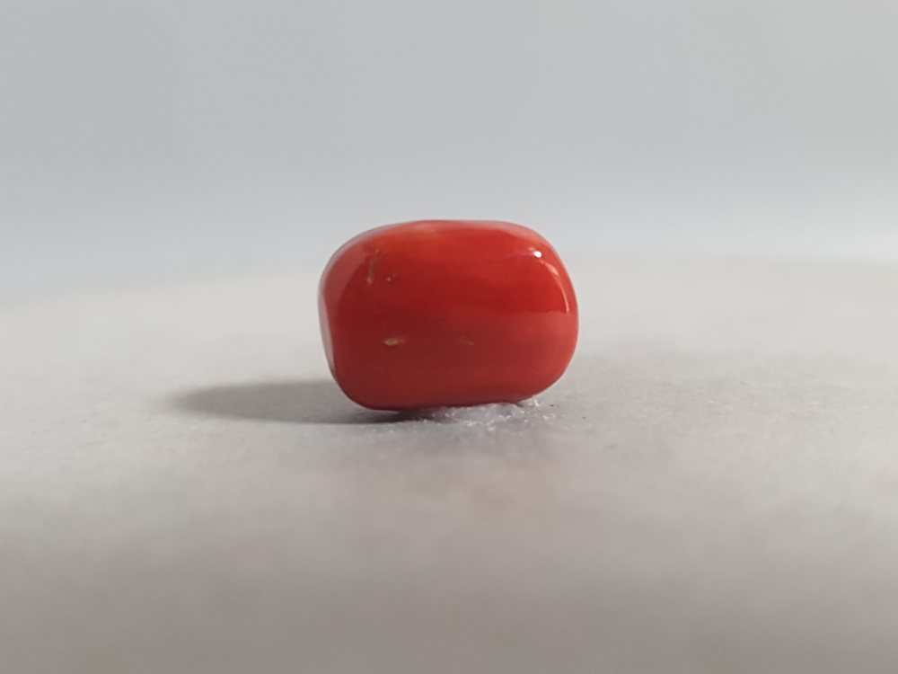 NATURAL CORAL - 4.56CT