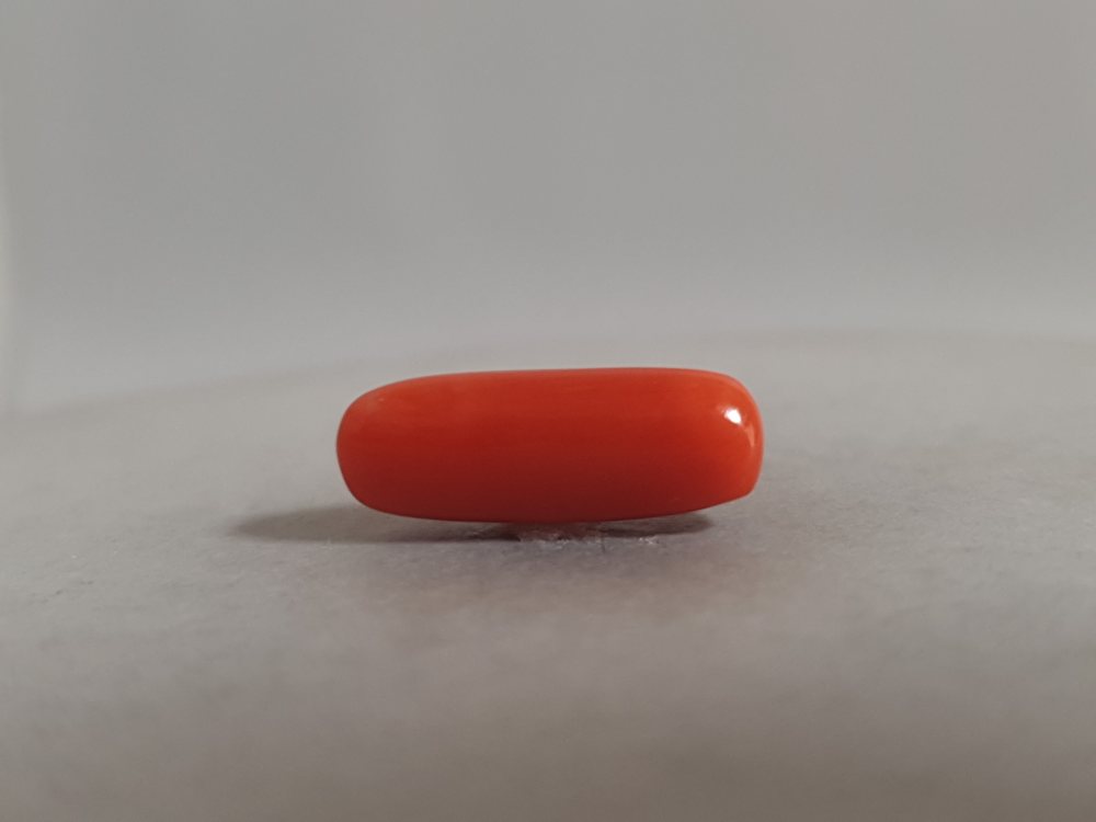NATURAL CORAL - 5.03CT