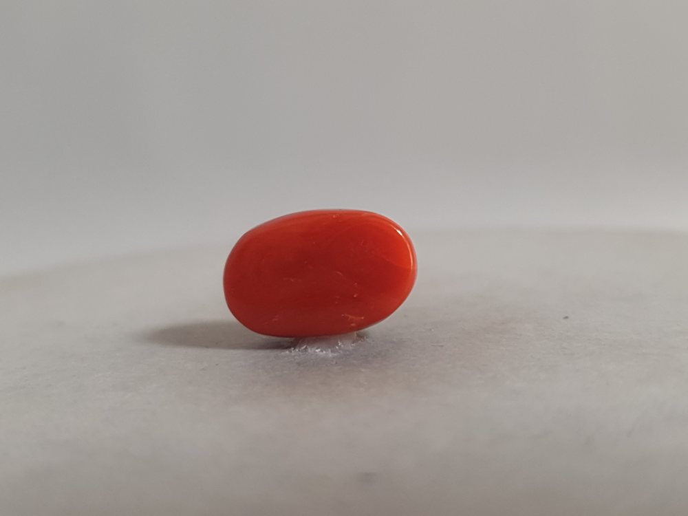 NATURAL CORAL - 5.23CT