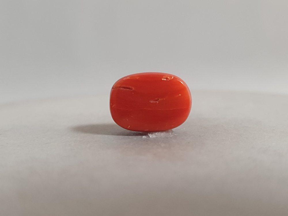NATURAL CORAL - 5.27CT