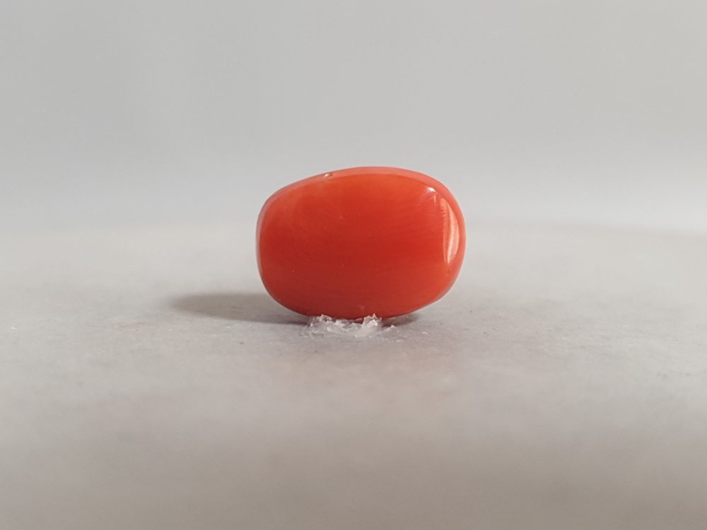 NATURAL CORAL - 5.65CT