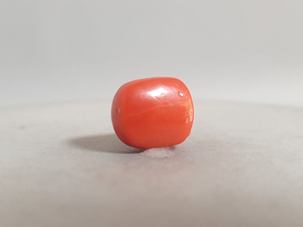 NATURAL CORAL - 5.69CT