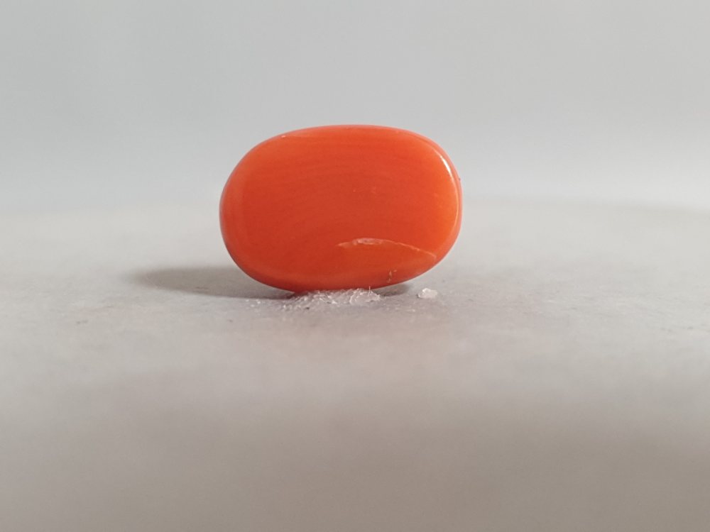 NATURAL CORAL - 5.78CT