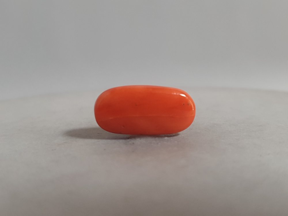 NATURAL CORAL - 5.85CT